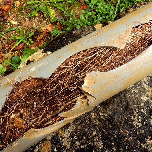 The Drain & Sewer Professionals In Brighton