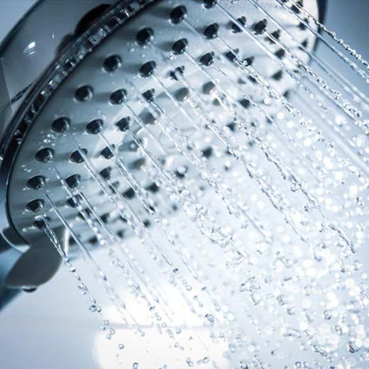 The Shower and Tub Plumbing Professionals in Brighton